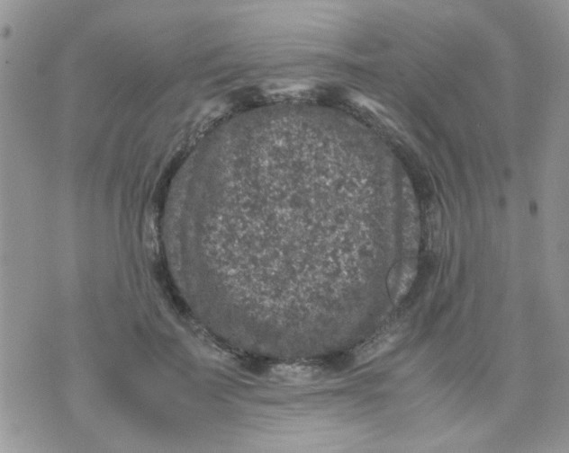 X0000071860699200607211917