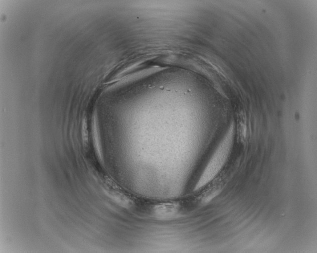 X0000071860700200607211917