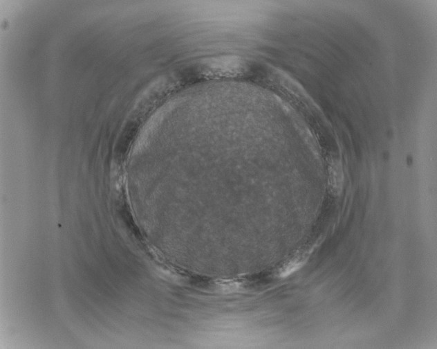 X0000071860701200607211917