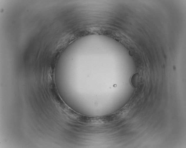 X0000071860702200607211917