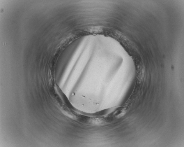 X0000071860704200607211917