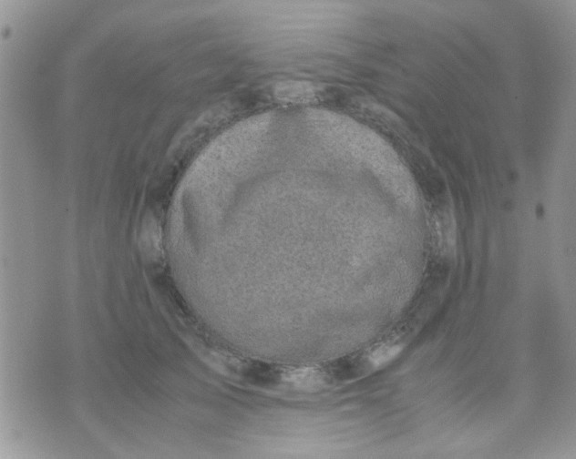 X0000071860705200607211917