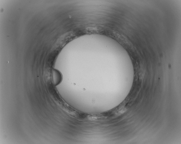 X0000071860706200607211917