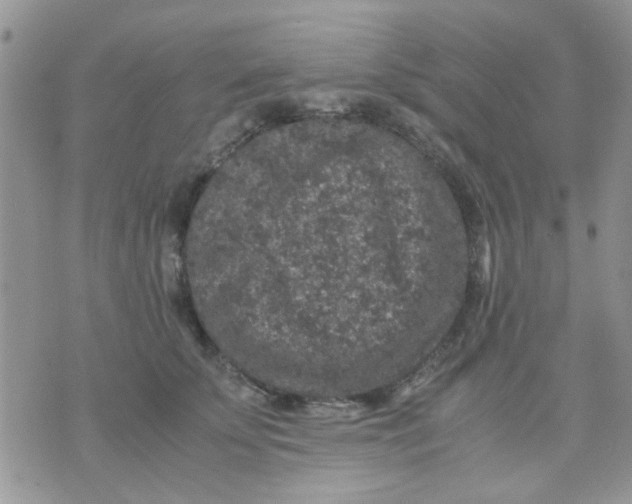 X0000071860707200607211917