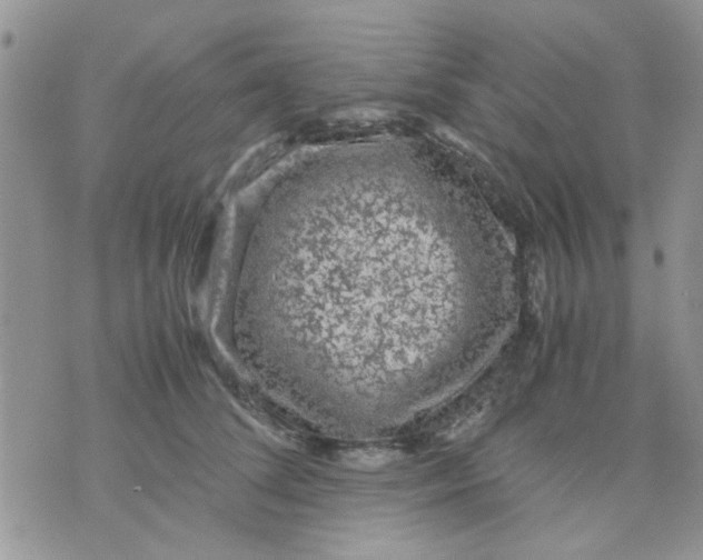 X0000071860708200607211917