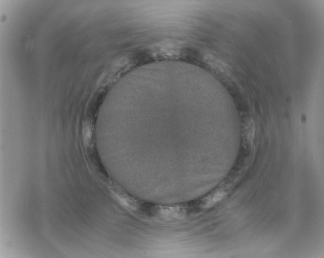 X0000071860709200607211917