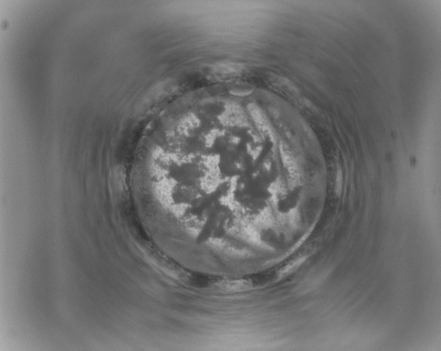 X0000071860711200607211917