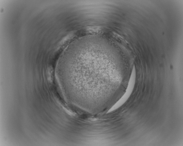 X0000071860712200607211917