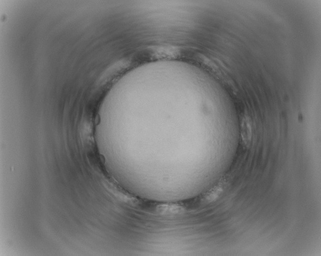 X0000071860714200607211917