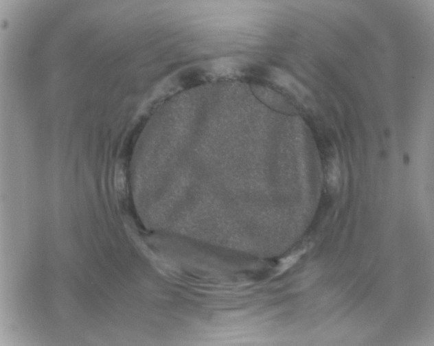 X0000071860715200607211917