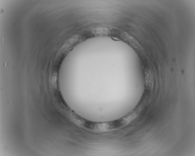 X0000071860717200607211917