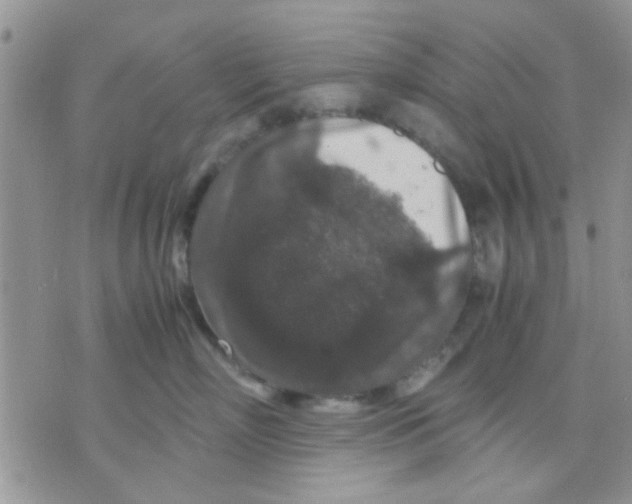 X0000071860718200607211917