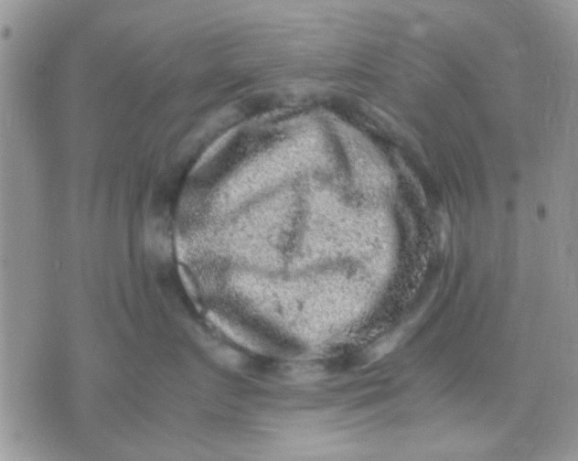 X0000071860719200607211917