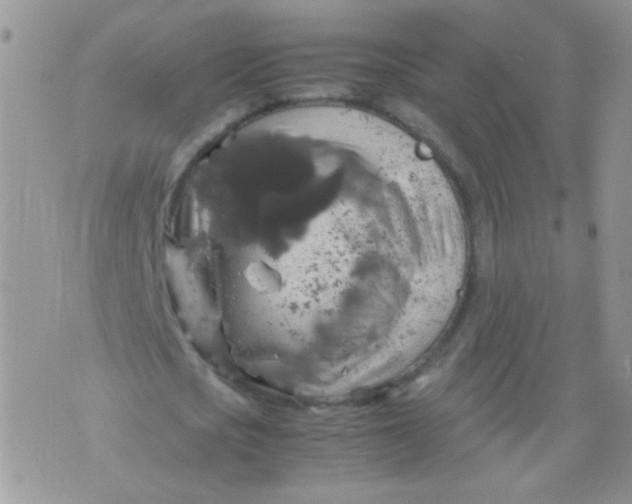 X0000071860721200607211916