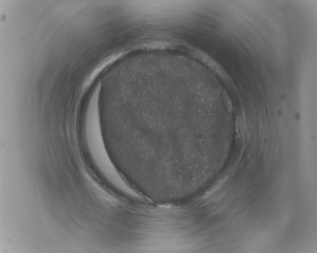 X0000071860722200607211916