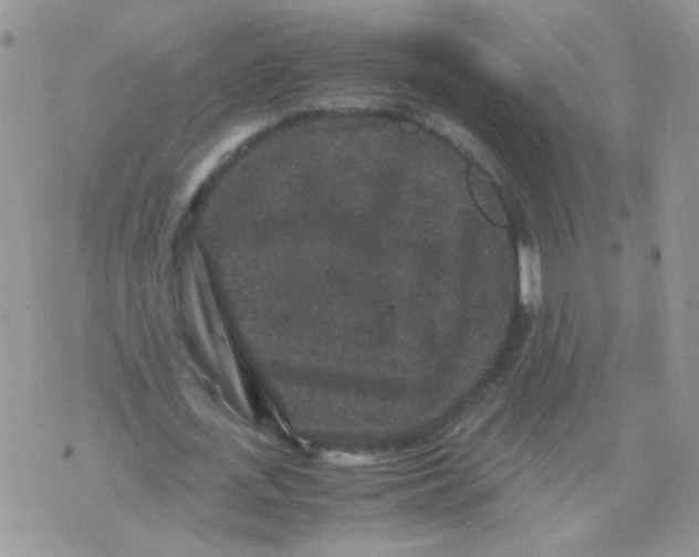 X0000071860723200607211916