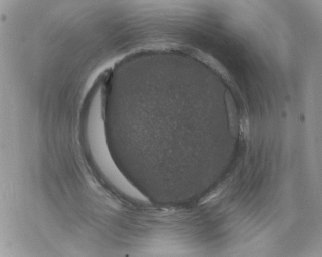 X0000071860724200607211916