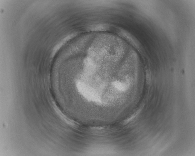 X0000071860725200607211916