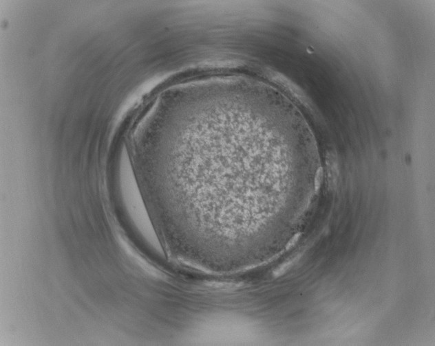 X0000071860726200607211916