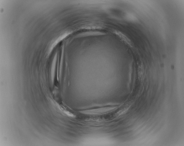 X0000071860727200607211916