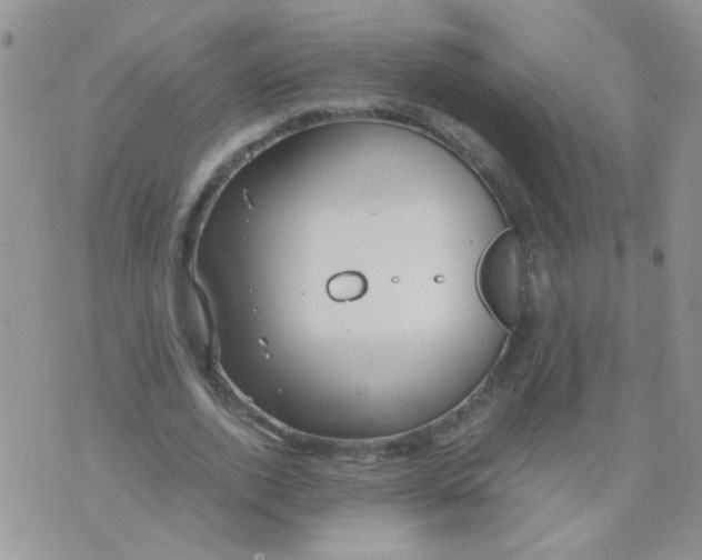 X0000071860728200607211916