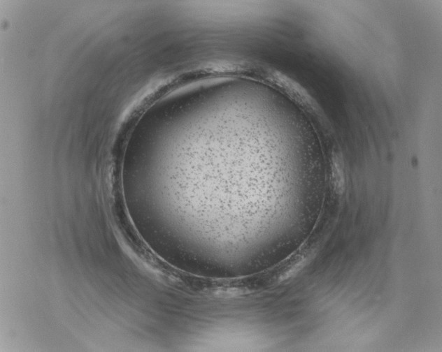 X0000071860730200607211916