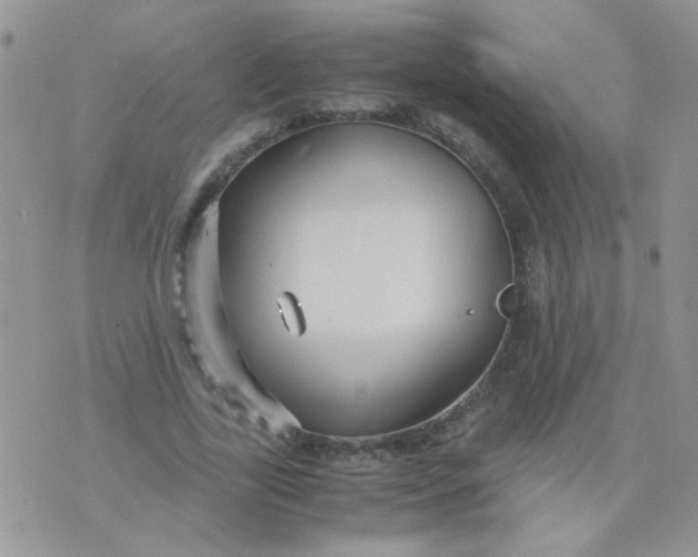 X0000071860731200607211916