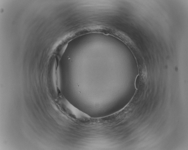 X0000071860732200607211916