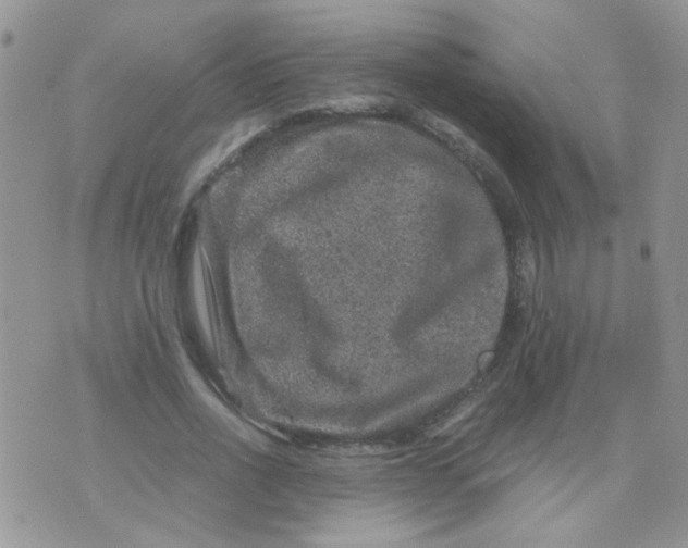 X0000071860734200607211916