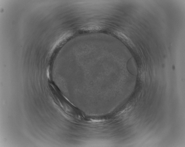 X0000071860735200607211916