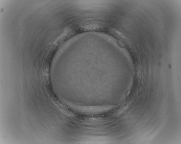 X0000071860737200607211917