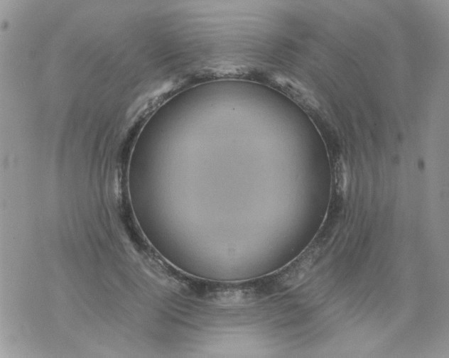 X0000071860740200607211917