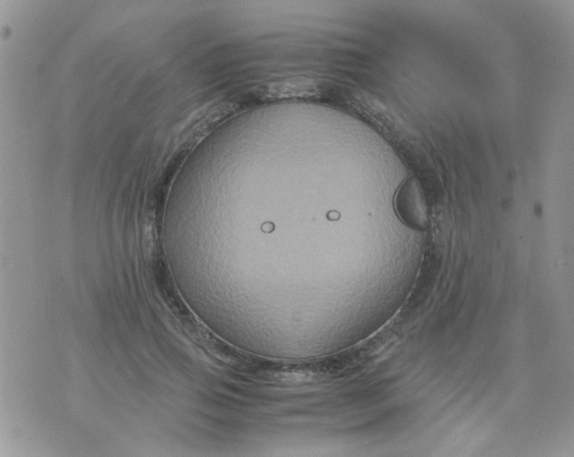 X0000071860741200607211917