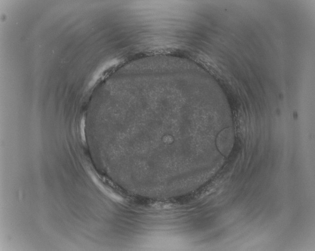 X0000071860742200607211917