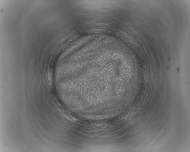 X0000071860745200607211917