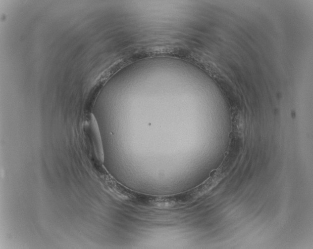 X0000071860746200607211917