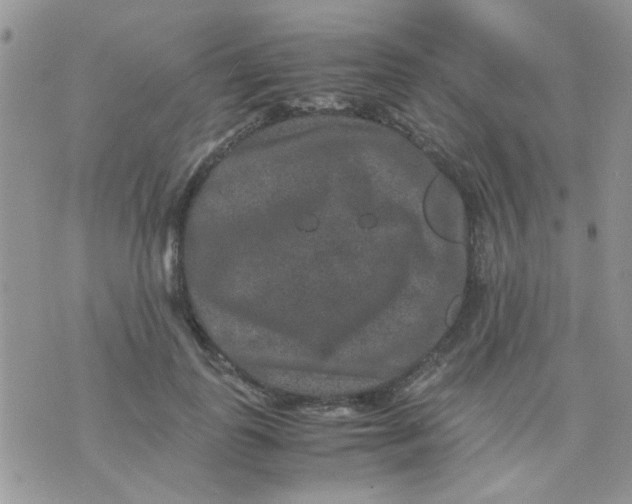 X0000071860747200607211917