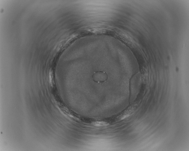 X0000071860748200607211917