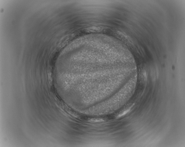 X0000071860749200607211917