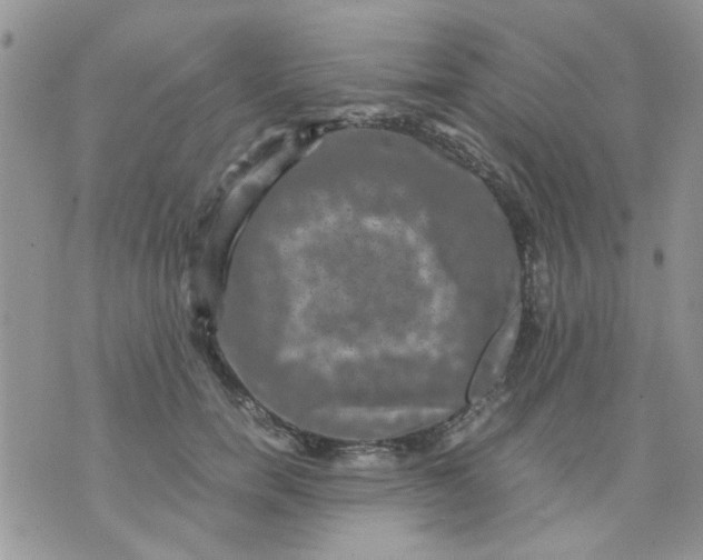 X0000071860750200607211917