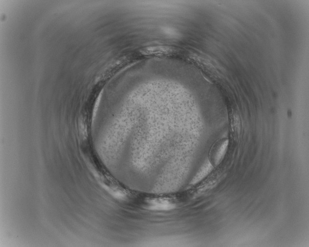 X0000071860751200607211917