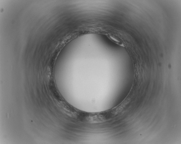 X0000071860752200607211917