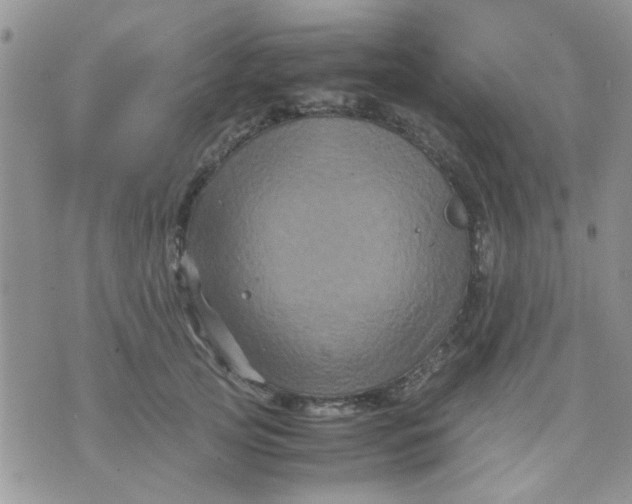 X0000071860753200607211917