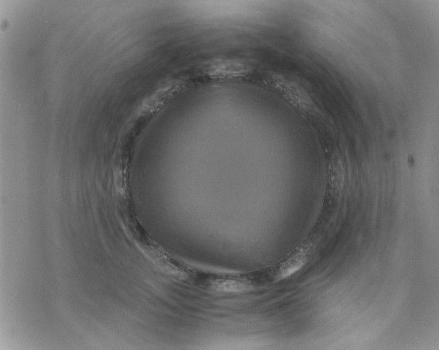 X0000071860755200607211917