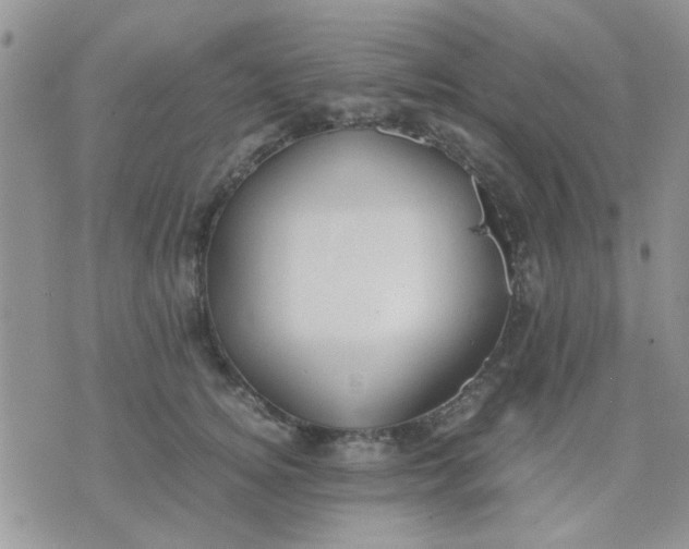 X0000071860756200607211917