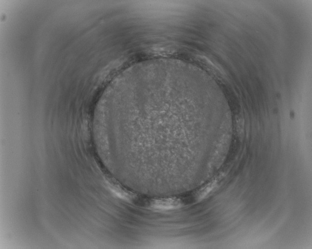 X0000071860757200607211917