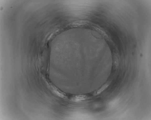 X0000071860758200607211917