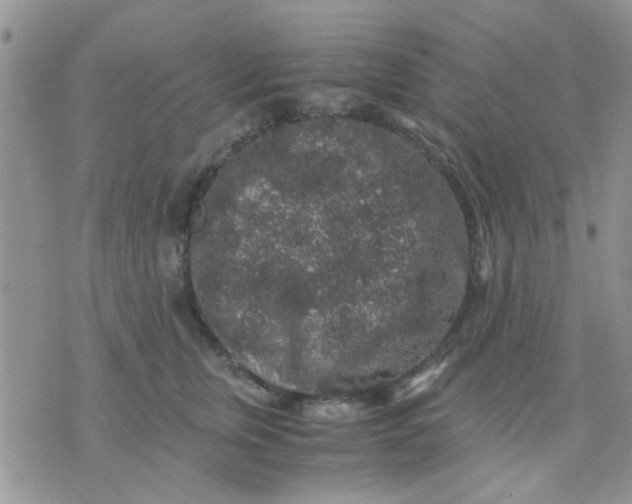 X0000071860759200607211917