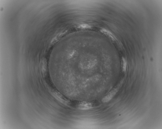 X0000071860760200607211917