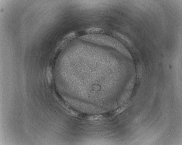 X0000071860761200607211917